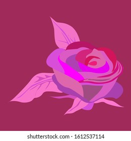 Flower vector artwork in various shades of pink.