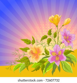 Flower vector background, alstroemeria flowers and leaves and sun rays