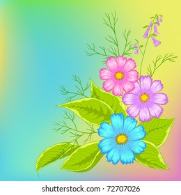 Flower vector background, cosmos flowers on green and yellow