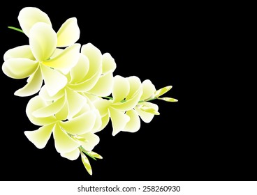Flower vector background graphics
