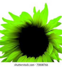 floraler Vektorhintergrund, Naturgrüner Rahmen, Design