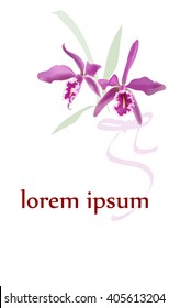 Flower vector background with orchids. Orchid brochure template. Floral tropic orchid  card.