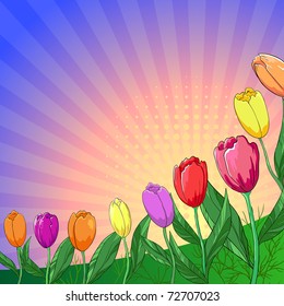 Flower vector background, tulips flowers and leaves and sun rays