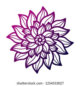 flower, vector, circle, decorative, contour, design element
