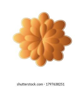 flower vector clipart, chrysanthemums, daisies on white background