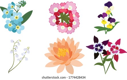 Flower Vector Columbine Verbena Lotus Heartsease Forget Me Not Lily Of The Valley