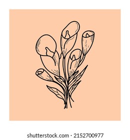 flower vector for decor, gallery wall