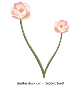 Blumendesign, schöne Blumenkunst und Illustration, farblich einzeln auf weißem Hintergrund