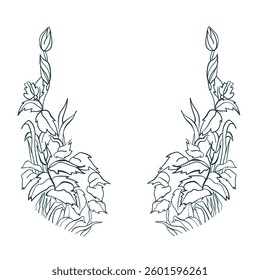 flower vector design element isolated hand drawn art line