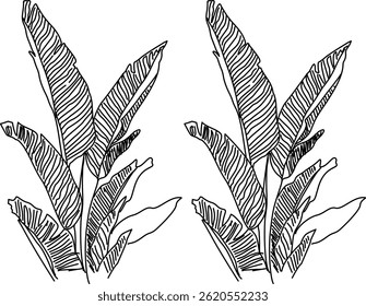 flower Vector Design Illustration Set Of Line Art