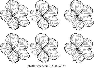 Blume Vektor Design Illustration Set von Linie Kunst