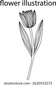 Blume Vektor Design Illustration Set von Linie Kunst