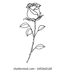 diseño de vectores de flores, ilustración de rosas, boceto de arte, gráfico de tatuajes