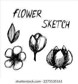 Flower vector doodle set hand drawn.
