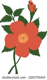 Flower vector drawing and line art