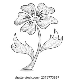 flower vector engraving style hand drawn black and white
