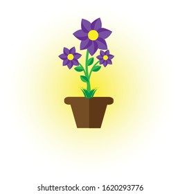 flower vector in a flowerpot