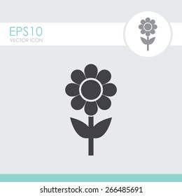 Flower vector icon.