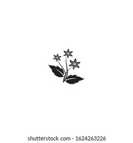 flower vector icon design template illustration