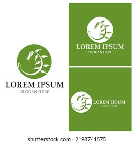 Flower vector icon design template illustration