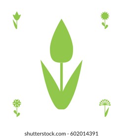 Flower Vector Icon or Symbol Isolated. Collection of Various Decorative Blossom Plants
