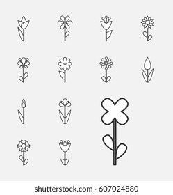 Flower Vector Icon or Symbol Isolated. Collection of Various Decorative Blossom Plants