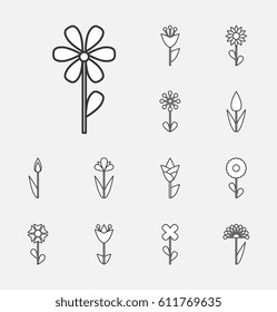 Flower Vector Icon or Symbol Isolated. Collection of Various Decorative Blossom Plants