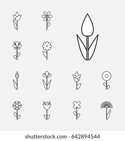 Flower Vector Icon or Symbol Isolated. Collection of Various Decorative Blossom Plants
