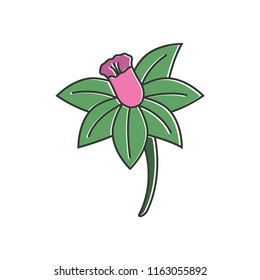 flower vector icon in trendy flat design 