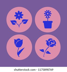Flower vector icons set. with tulip, rose, flower pot and flower in set