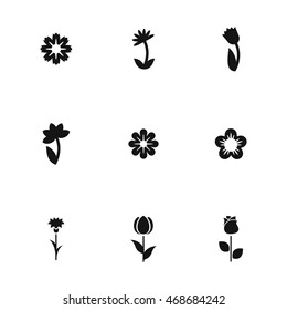 Flower vector icons. Simple illustration set of 9 Flower elements, editable icons, can be used in logo, UI and web design