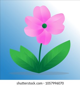 Flower vector illustration