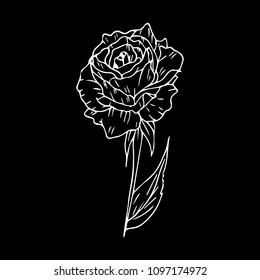 Flower vector illustration.