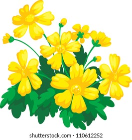 Flower vector  illustration