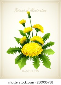 Flower vector illustration