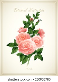 Flower vector illustration