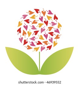 flower vector illustration