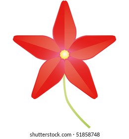 flower vector illustration
