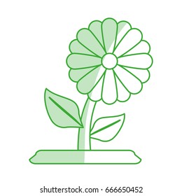 flower vector illustration