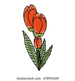 flower vector illustration