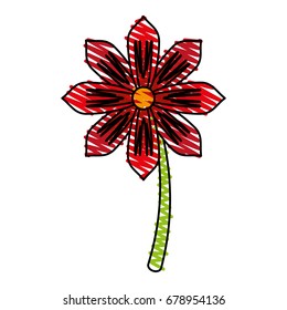 flower vector illustration