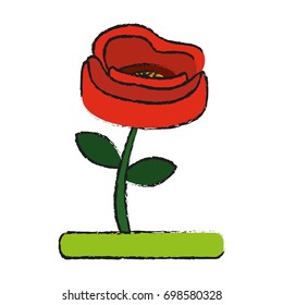 flower vector illustration