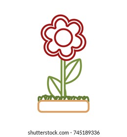flower  vector illustration