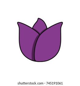 flower  vector illustration