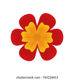 flower vector illustration