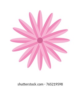 flower vector illustration