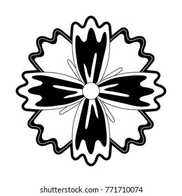 flower  vector illustration