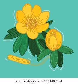 Flower Vector Illustration : Aconite