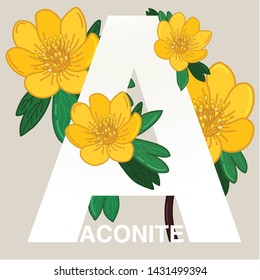 Flower Vector Illustration : Aconite