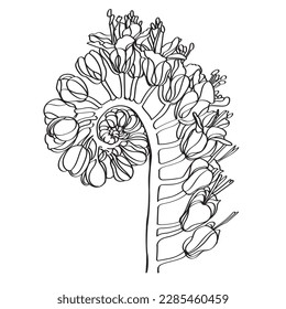 flower  vector illustration. Black and white floral vector illustration 